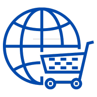 E-commerce Platform Customization