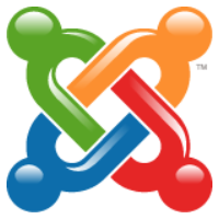 Joomla Developer